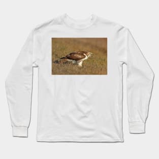 Red-tailed Hawk - juvenile Long Sleeve T-Shirt